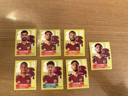 Panini Sticker Qatar Spieler-Set 7 Stück guter Zustand