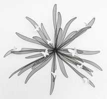 Florale Wanddekoration 