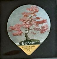612 - Bonsai