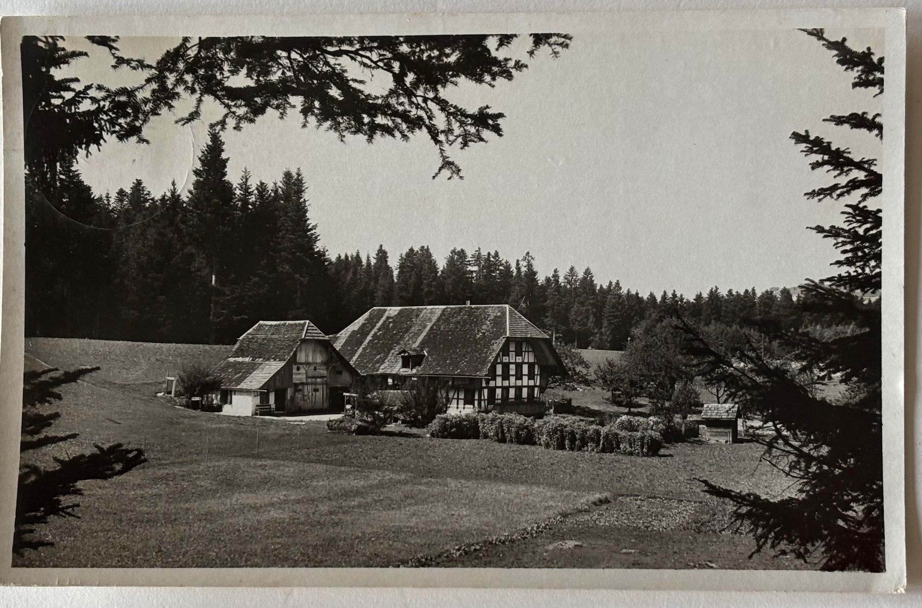 Cartoline postali: Biglen, Emmental, Waldeck Arnisäge – Usato da Frauenfeld venduto da Merk52