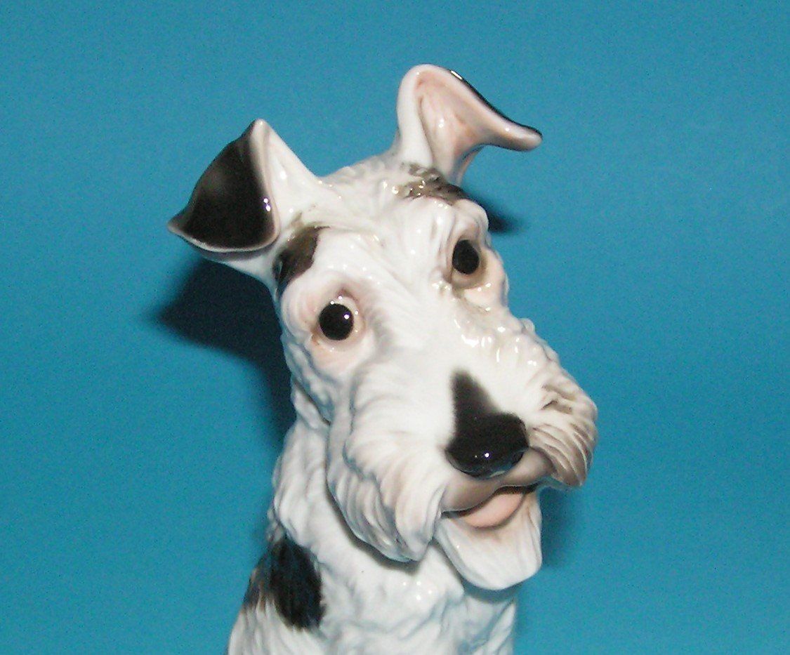 Rosenthal Statuette: ROSENTHAL FIGUR DRAHTHAAR TERRIER – Usato da Grenchen venduto da Antique-hunter 1