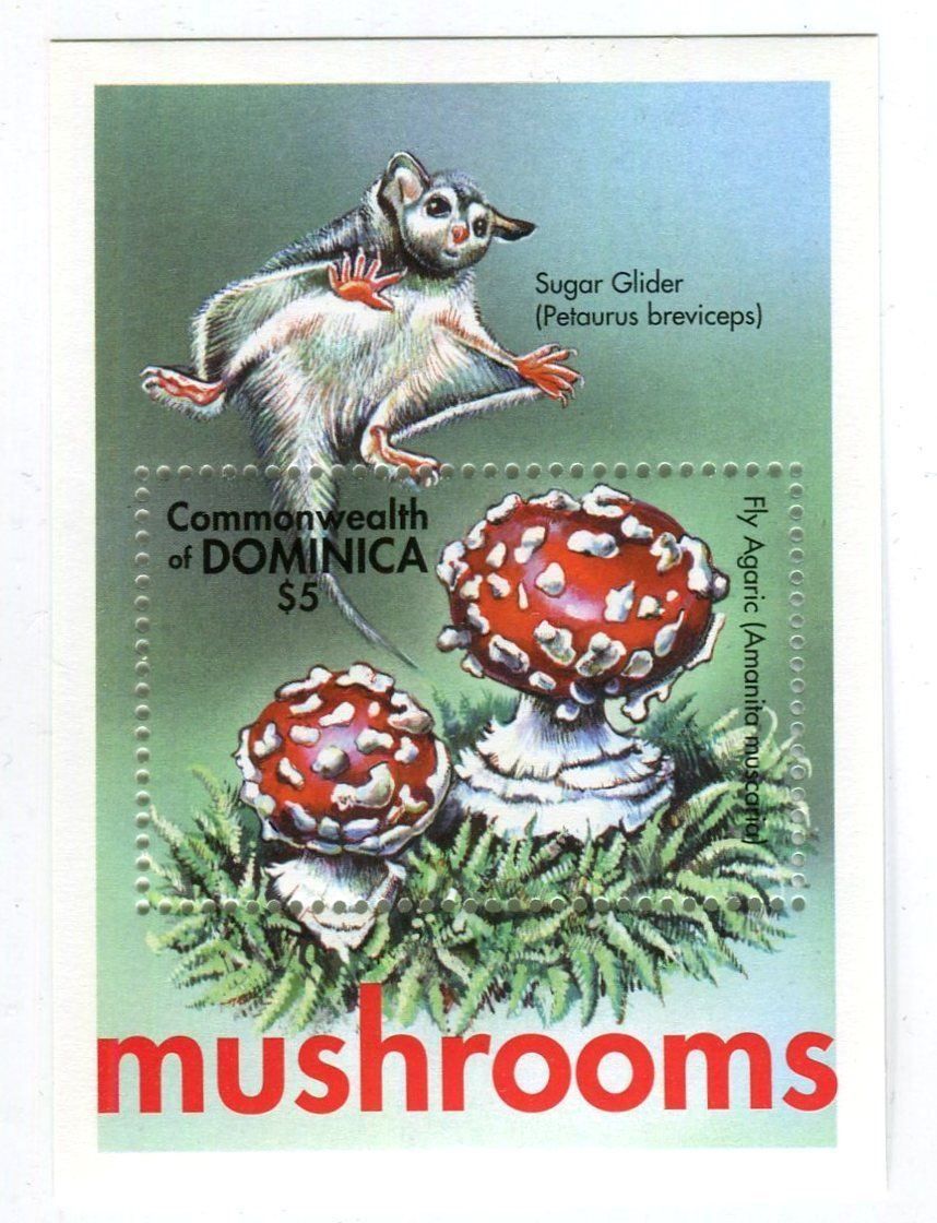 Alle Briefmarken: Block "Pilze". Dominica. – Neu und originalverpackt aus Basel von Butsch5