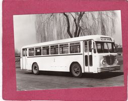 Deutschland Berliner Verkehrsbetriebe Autobus Büssing