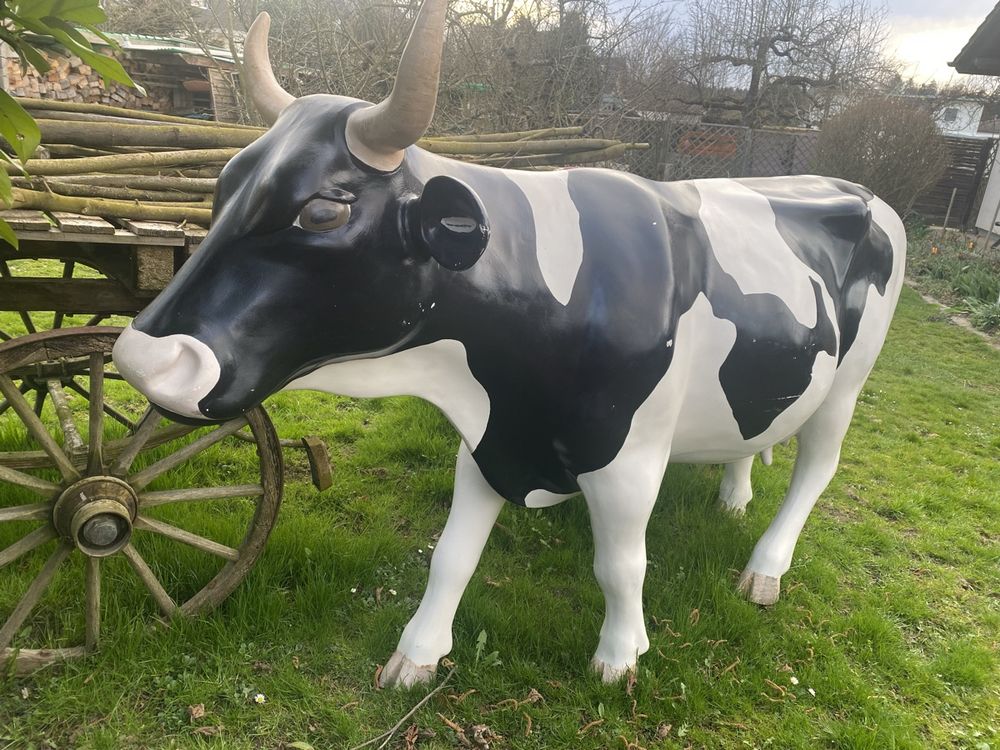 Kuh lebensgross, Milchkuh Rind 1