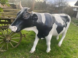 Kuh lebensgross, Milchkuh Rind-679