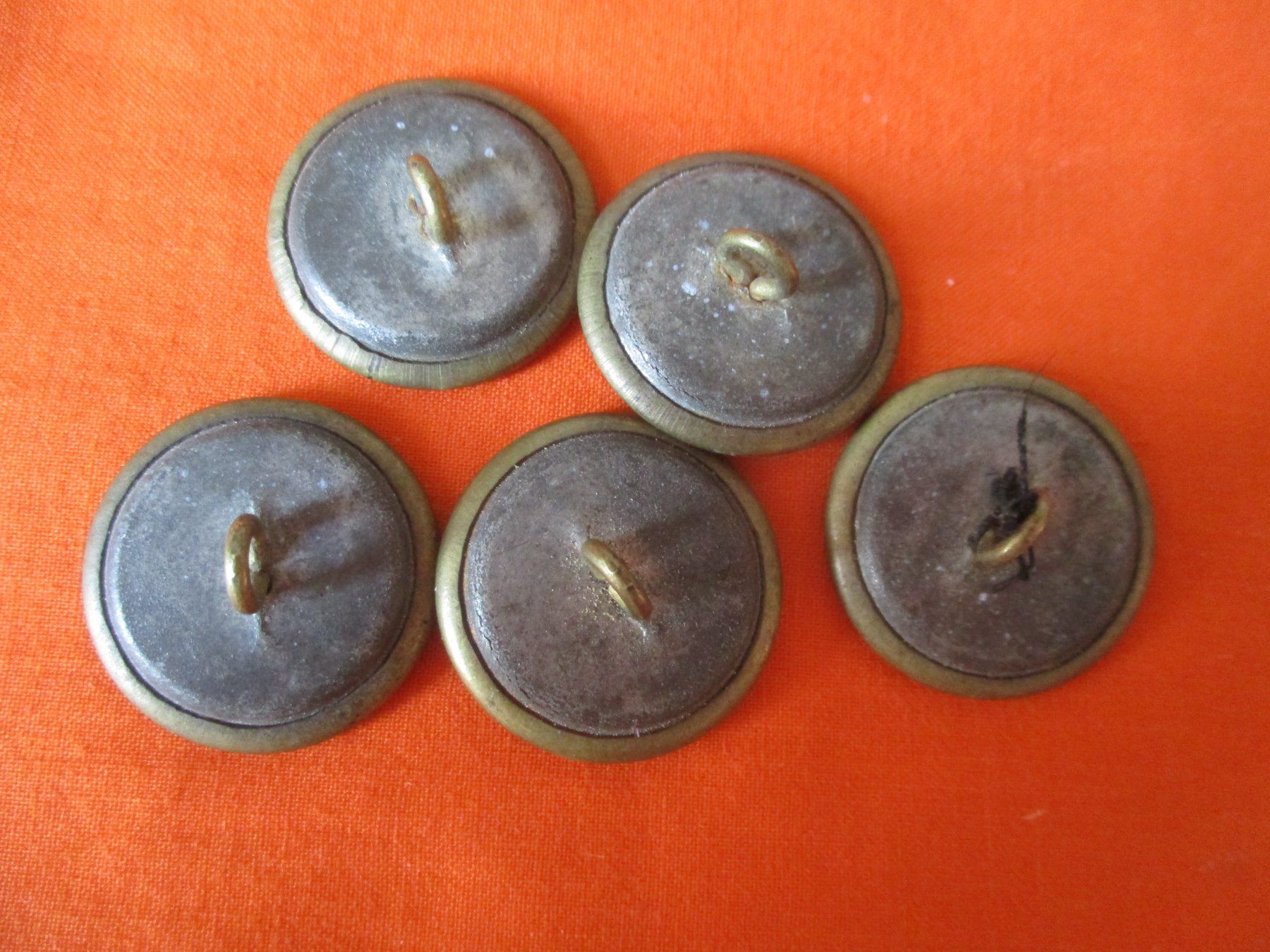Bottoni: Miitär Uniform 5 x Knopf – Usato da Birsfelden venduto da alles-muss-raus 1
