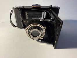 Appareil Photo Soufflet Zeiss Ikon (Années 1930) Collection