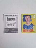 Panini Sticker BIH16