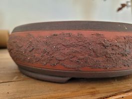 Bonsai-Schale John Pitt, nummeriert