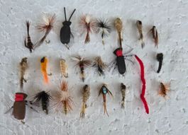 23  Verschiedene Fliege  Nymphen