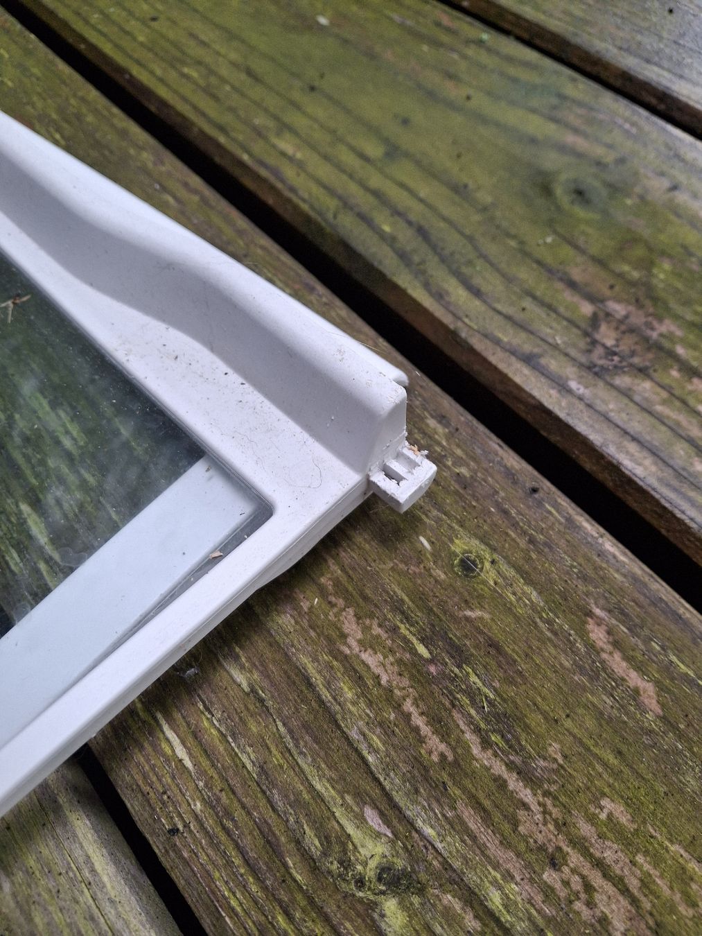 V-Zug Elettrodomestici da cucina: V-Zug Kühlschrank Einsätze Glas – Usato da Aadorf venduto da Greg19 1