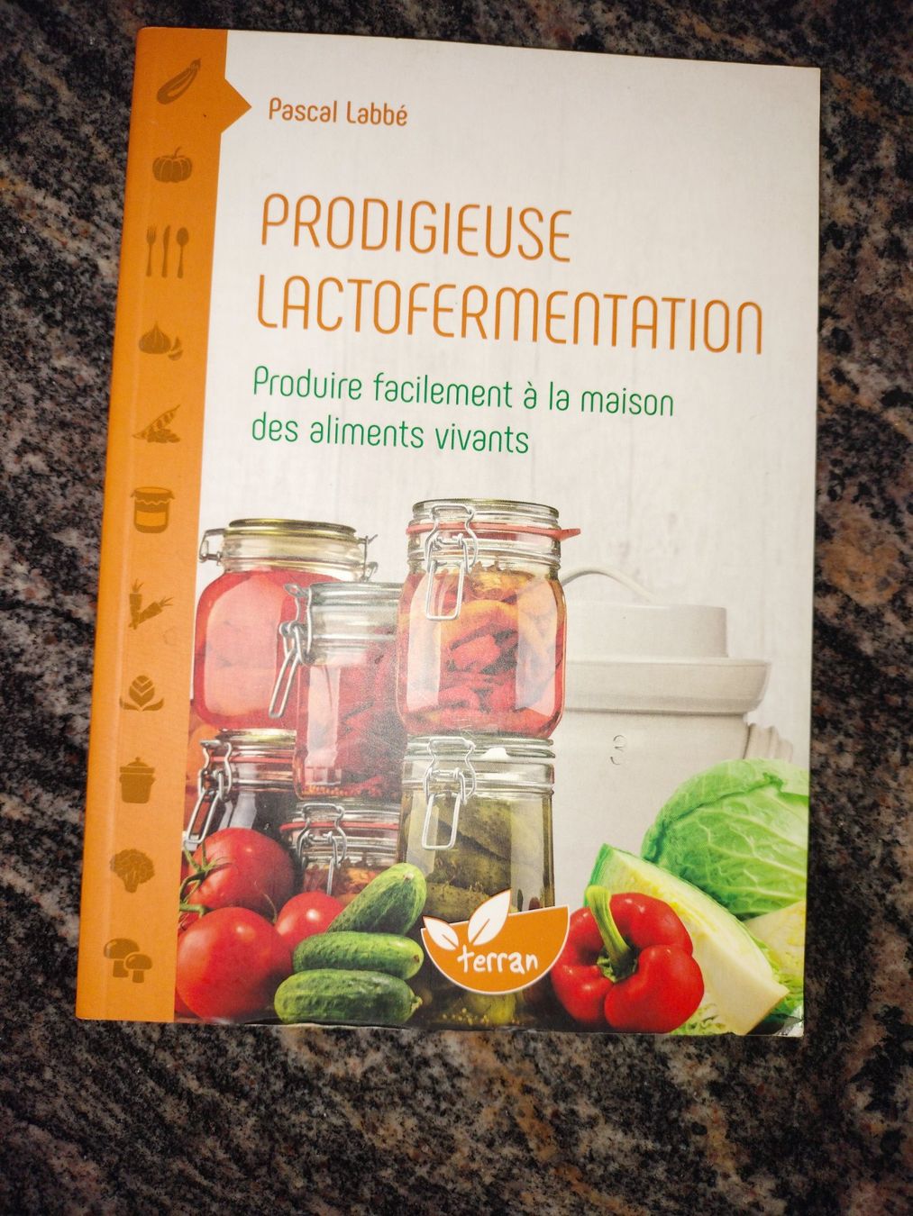 Livres: Prodigieuse lactofermentation avec des recettes – Neuf (Voir description) à Cortaillod par rozinna