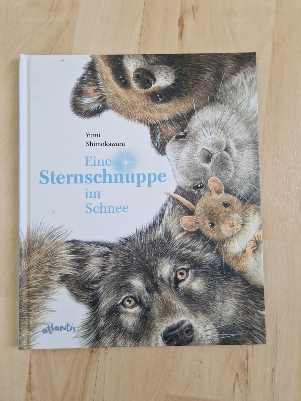 Libri: Eine Sternschnuppe im Schnee – Usato da Balterswil venduto da Little-nemo