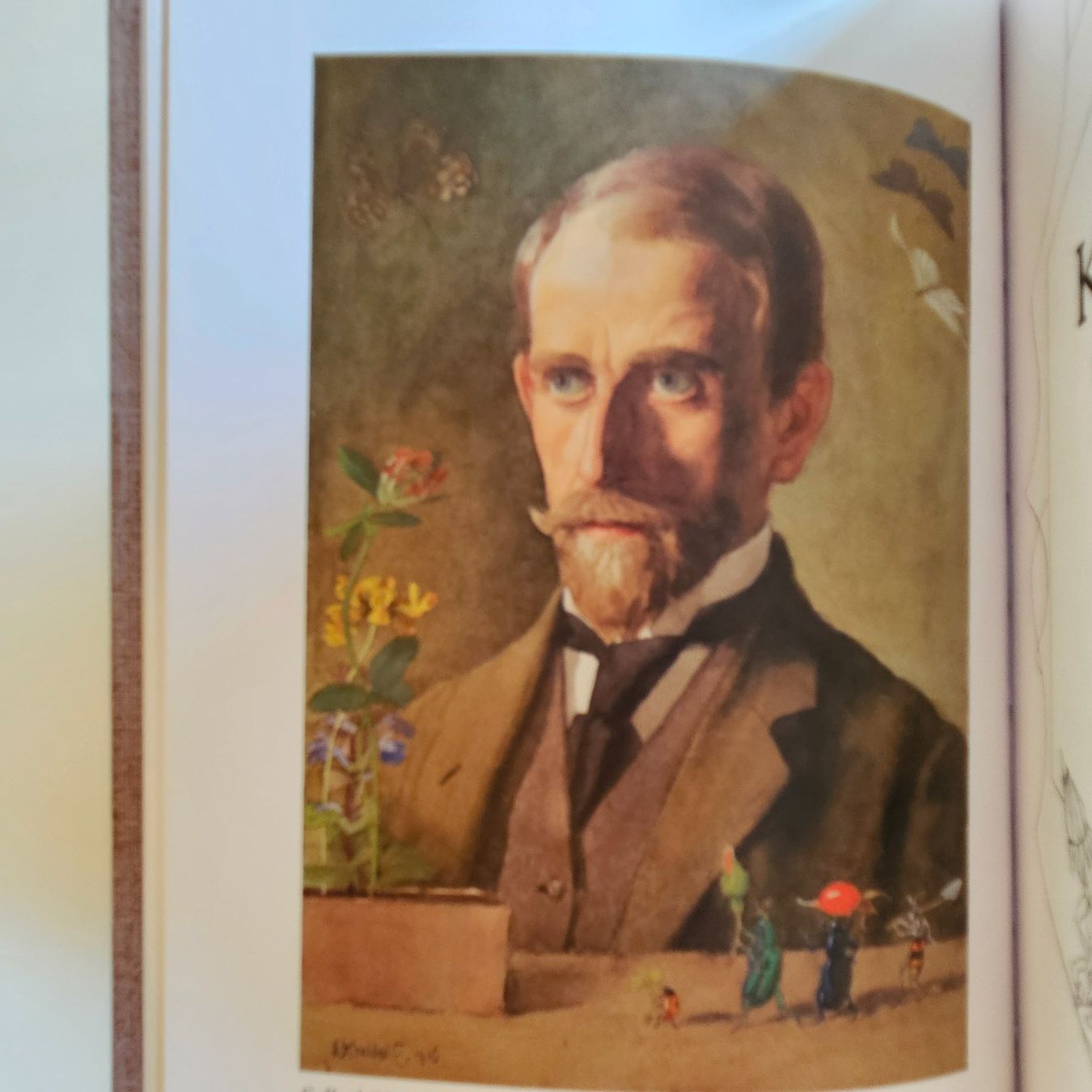 Libri: ERNST KREIDOLF, Ein Schweizer Maler und Dichter – Nuovo (secondo la descrizione) da Uster venduto da Sonnenblume212 8