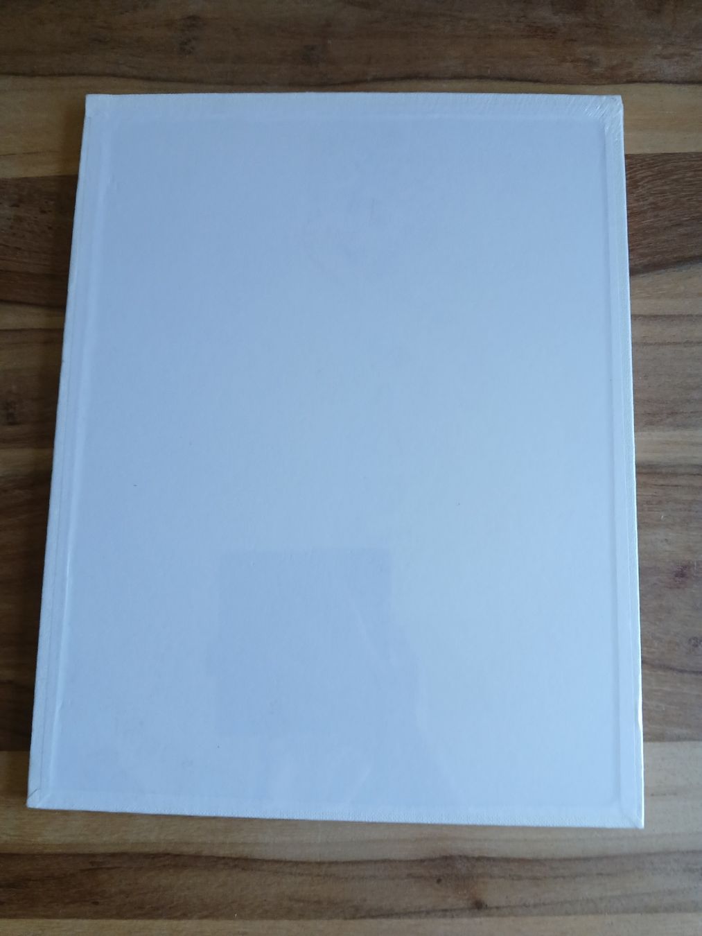Tableaux: New! Daler Rowney Canvas Panel 11x14 3 Pack  – Neuf avec emballage d'origine à Dübendorf par LoRi-2026 3