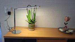 LED Büro-Tischlampe