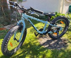 Leichtes Bike- Kinderfahrrad 20 Zoll