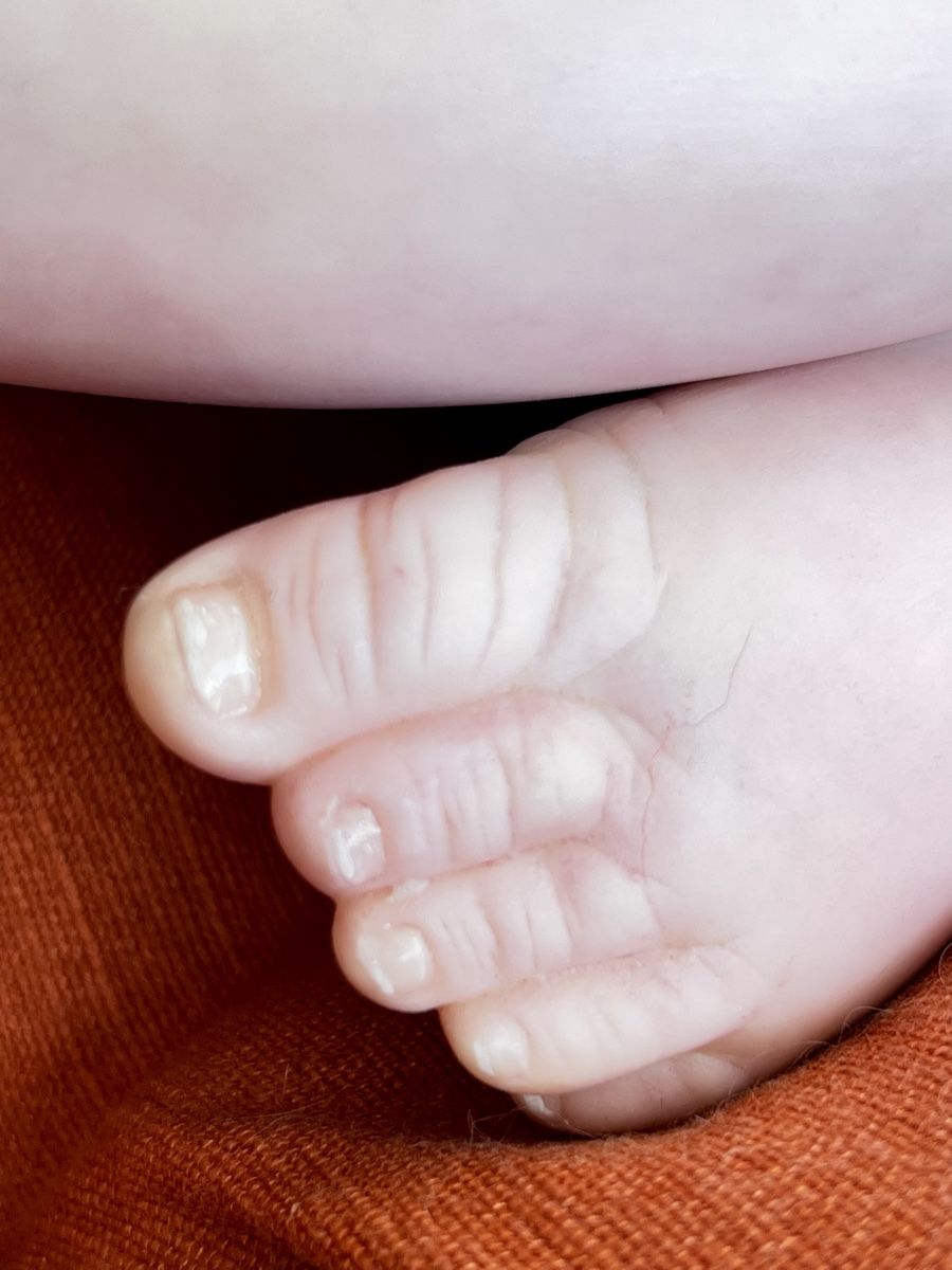 Reborn Bambole: Reborn Brooklyn Toddler – Nuovo e nell'imballaggio originale da Schönenberg an der Thur venduto da Reneisa079 1