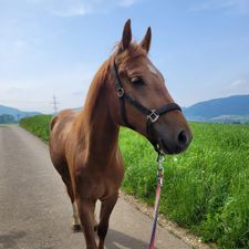 Profile image of Mareike02