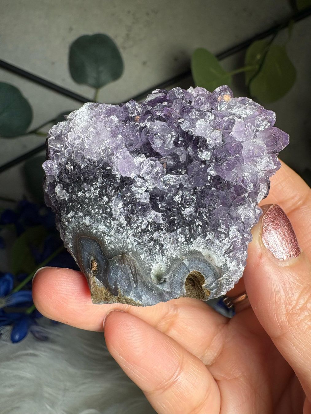 Edelsteine: Uruguay Amethyst – Super High Quality – Neu (gemäss Beschreibung) aus Neuheim von m.hald 2