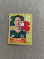 Panini MEX12