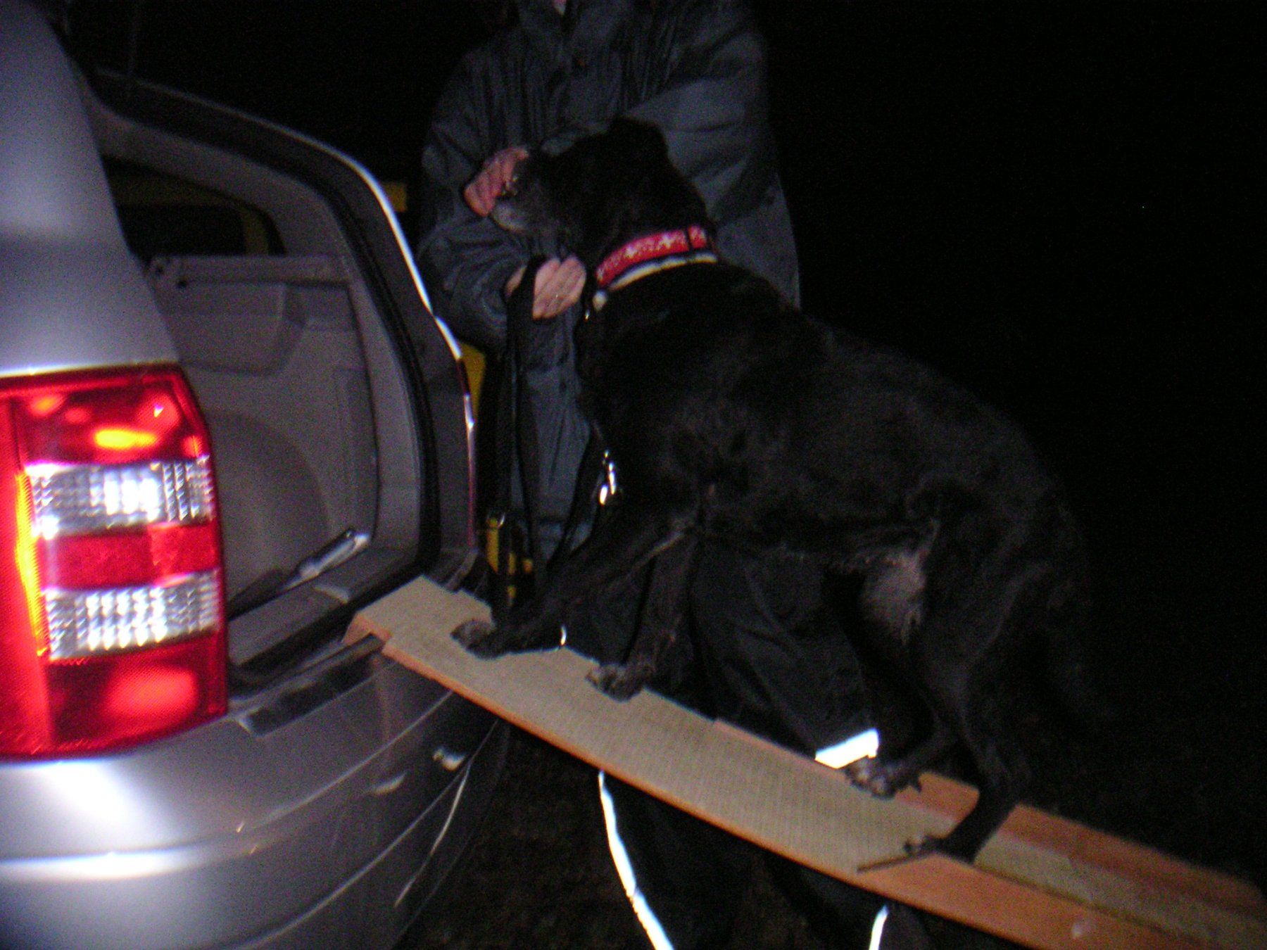 Käfige, Transport & Sicherheit: Hunde - Rampe – Gebraucht aus Bachenbülach von pwider 4