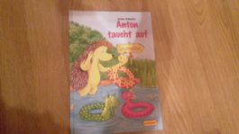 Buch Anton taucht auf