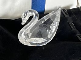 Swarovski Schwan (SCS Sammlerstück) im Orlginalverpackung