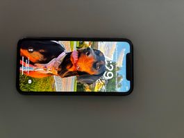 Apple iPhone 11, Schwarz (Akku 69%)