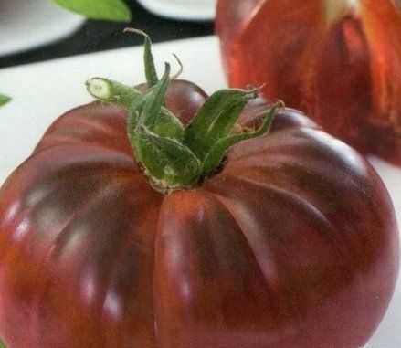Pflanzen & Samen: Tomate Black Prince / 5 Samen – Neu (gemäss Beschreibung) aus Hinteregg von ERFOLG78 1