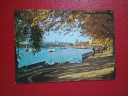 Zürich Partie am Utoquai Zürichsee