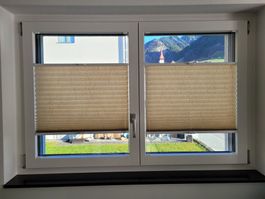 Plisse für Fenster orange/braun