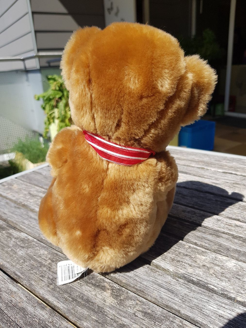 Spielzeuge: Plüschbär – Gebraucht aus Jona von dampfnuggi 2