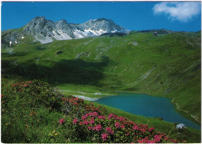 Cartoline postali: Arosa – Usato da Binningen venduto da Mountainrider