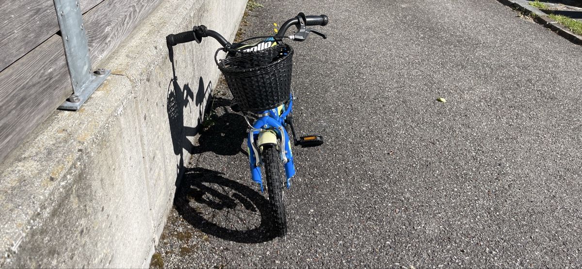 Leopard Biciclette: Bicicletta per bambini blu Leopard 14 pollici, perfetta per  – Nuovo (secondo la descrizione) da Brissago venduto da jmm_65pl 2