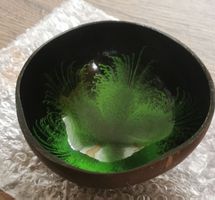 Schicke Deko-Schale aus Kokosnuss, Grün Akzent, Mischschale