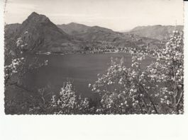 Lugano 1955