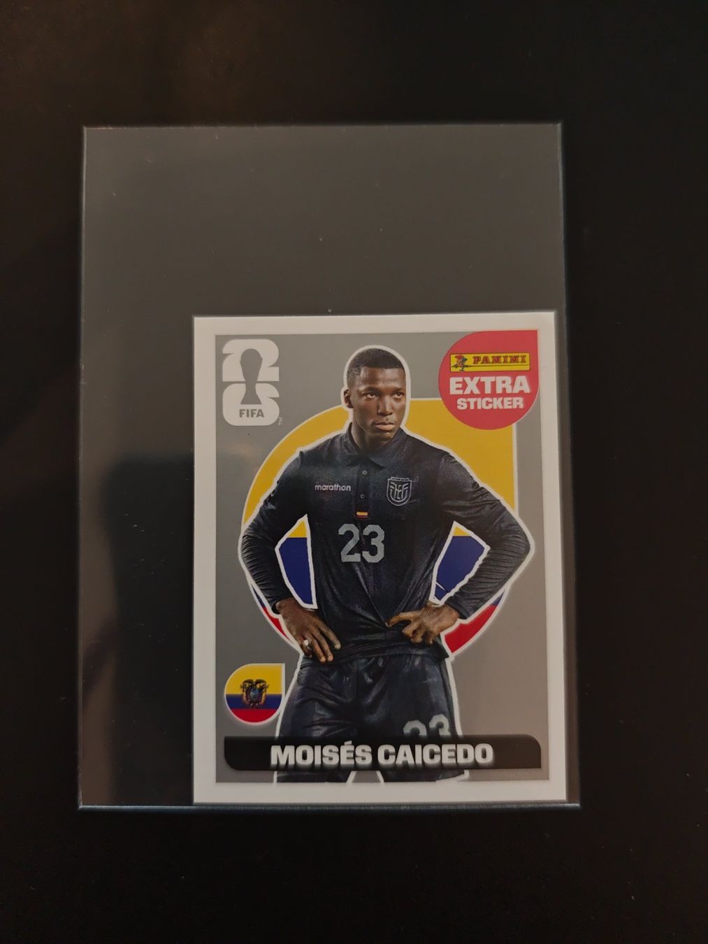 Panini Carte collezionabili: Panini Extra Sticker Silber Moises Caicedo WM 2026 ab 1.- – Usato da Wigoltingen venduto da dom_wbc6