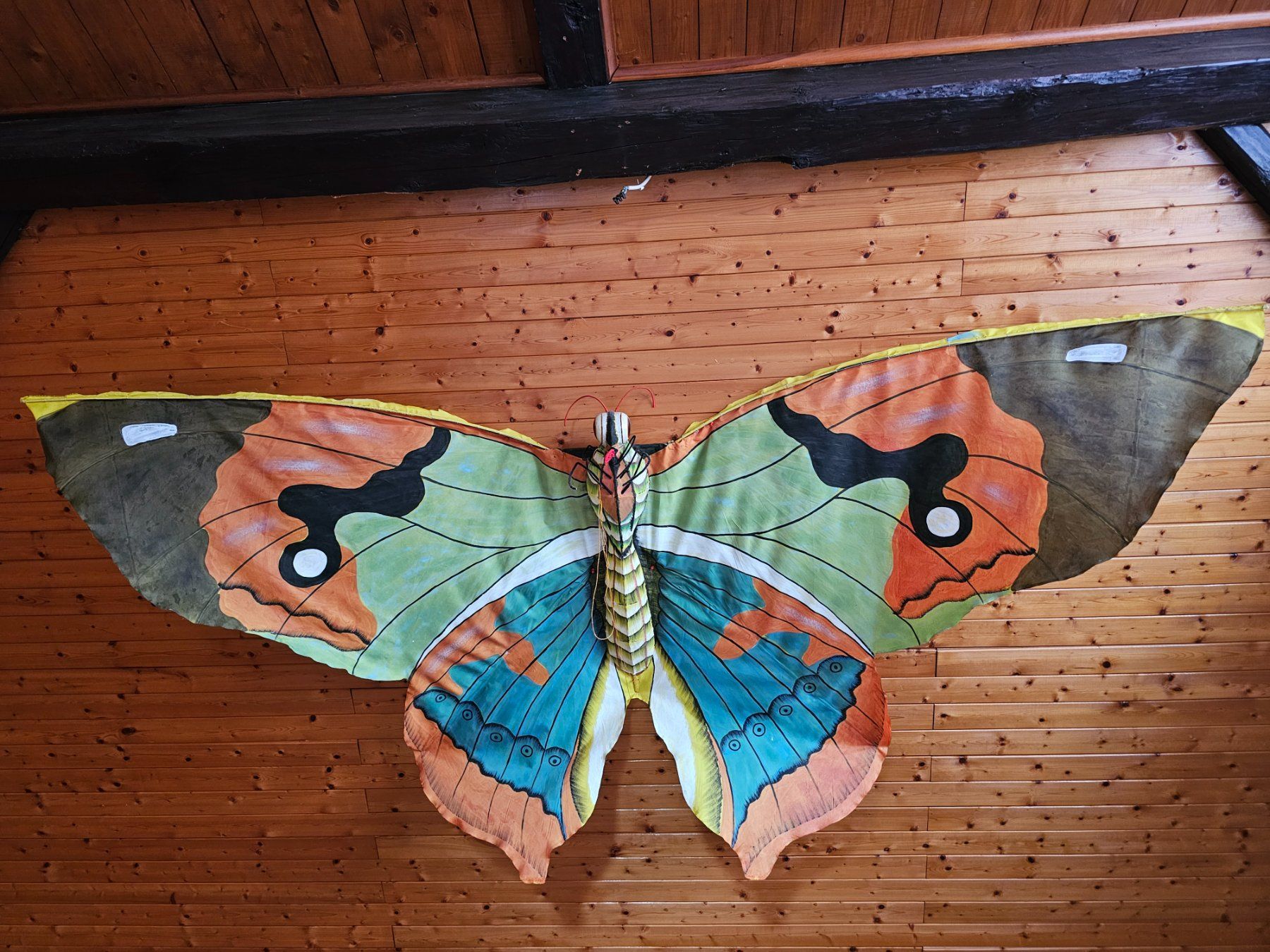 Aquilone: Drachen Flugdrachen riesig 3,2 Meter breit ! – Usato da Benzenschwil venduto da p-a-m-o-s 1