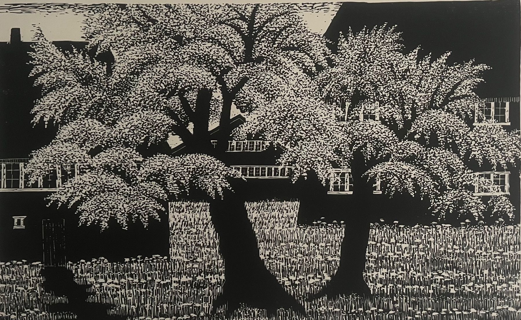 Arts picturaux & lithographies: Ruedi Peter, handsigniert und nummeriert – D'occasion à Rain par Pic-Ass 2
