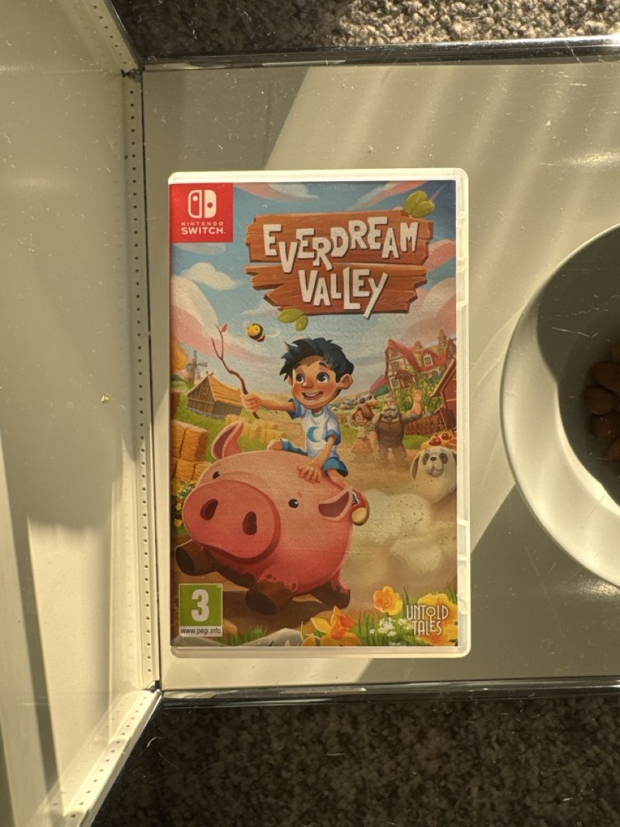 Nintendo Giochi: Everdream Valley Switch – Usato da Avry-sur-Matran venduto da Daidegaz