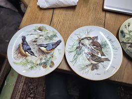 Sammelteller mit Vogelmotiven - 4 Stück (D1)