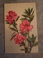 Ansichtskarte Schweiz Rhododendro Motiv gebraucht antik