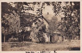 Rüttenen Restaurant Fallern