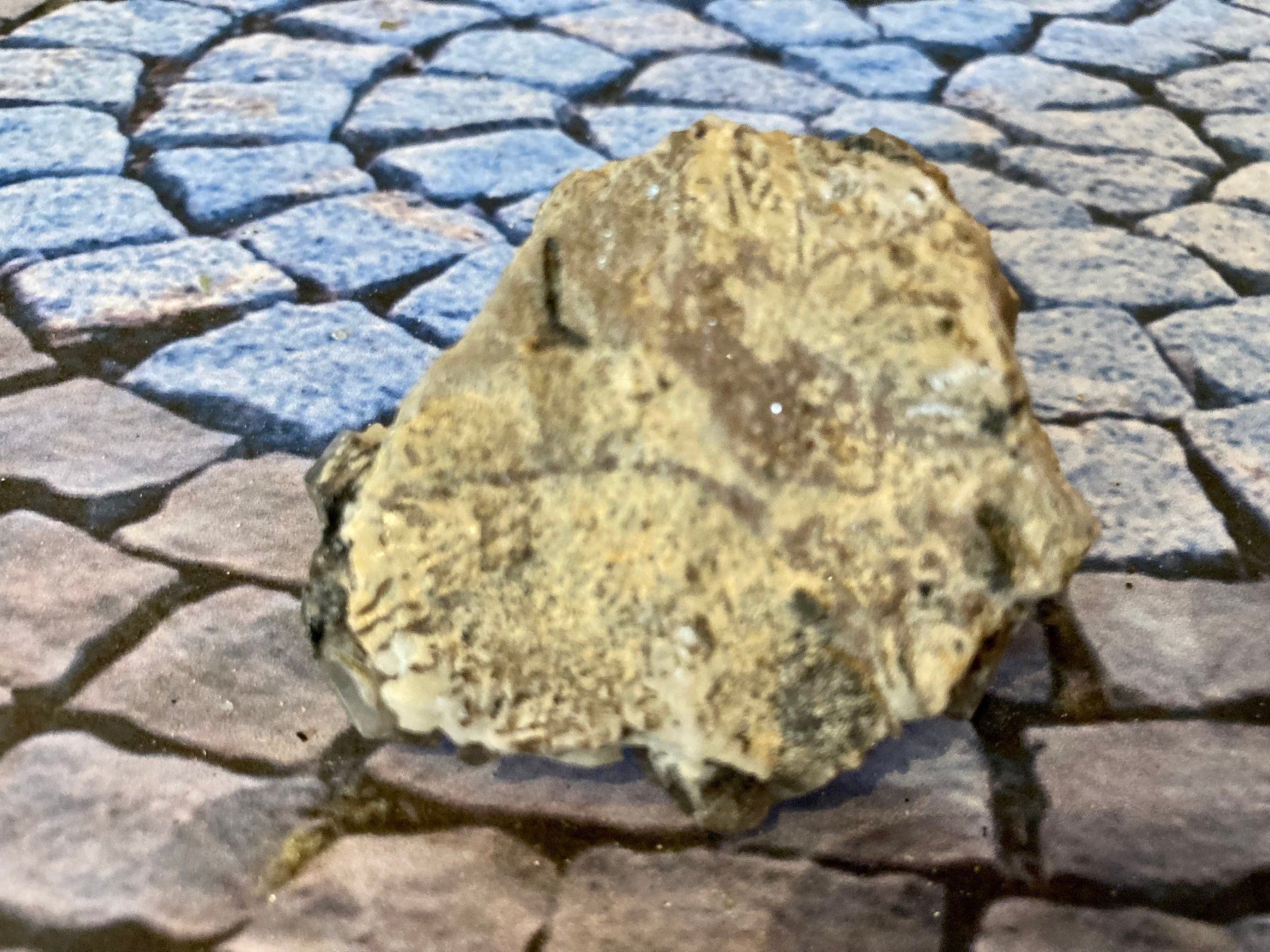 Edelsteine: Rauchquarz roh – Neu (gemäss Beschreibung) aus Biberist von Steine 2