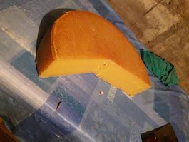 Bio Alpkäse – Bilingue Sommer 2025