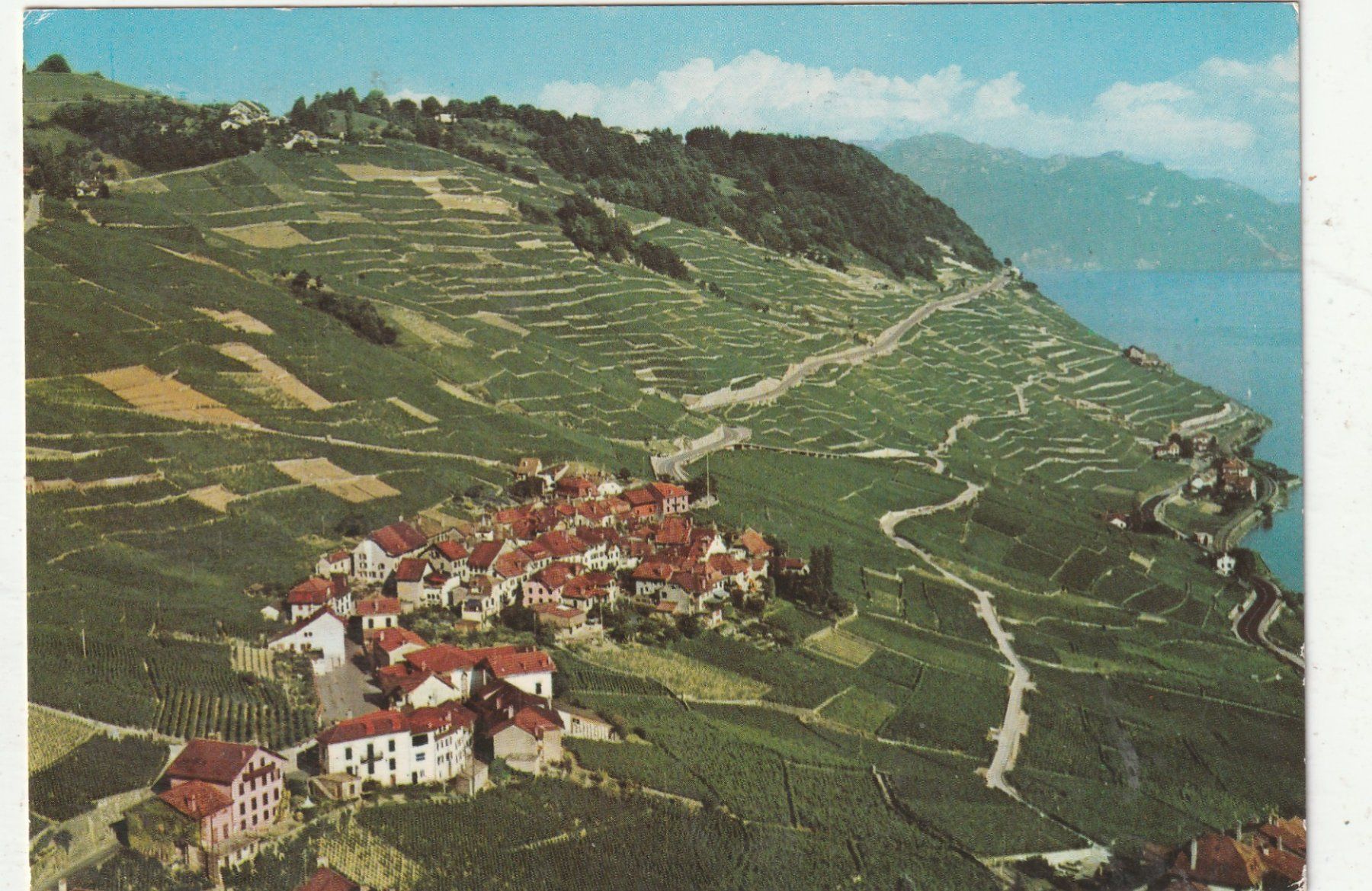 Cartoline postali: Epesses Flugaufnahme – Usato da Lumbrein venduto da made02