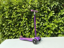 Micro Maxi Kickboard
