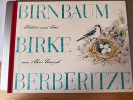 Birnbaum Birke Berberitze
