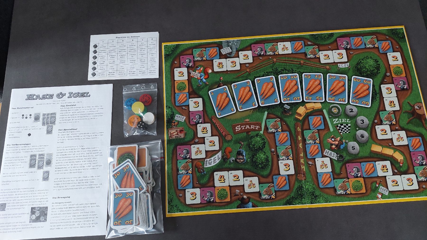 Giochi: Hase & Igel Brettspiel – Usato da Wisen SO venduto da spann 1